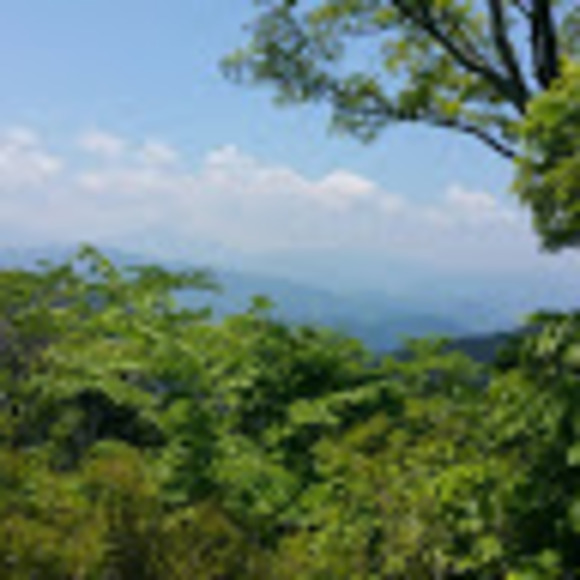 Meet your Posher, J - Picture 1 of 1